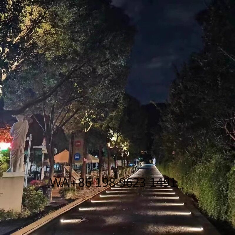 IP Rated Waterproof Solar LED  - Outdoor Lighting Ip Rating 评论和价格
