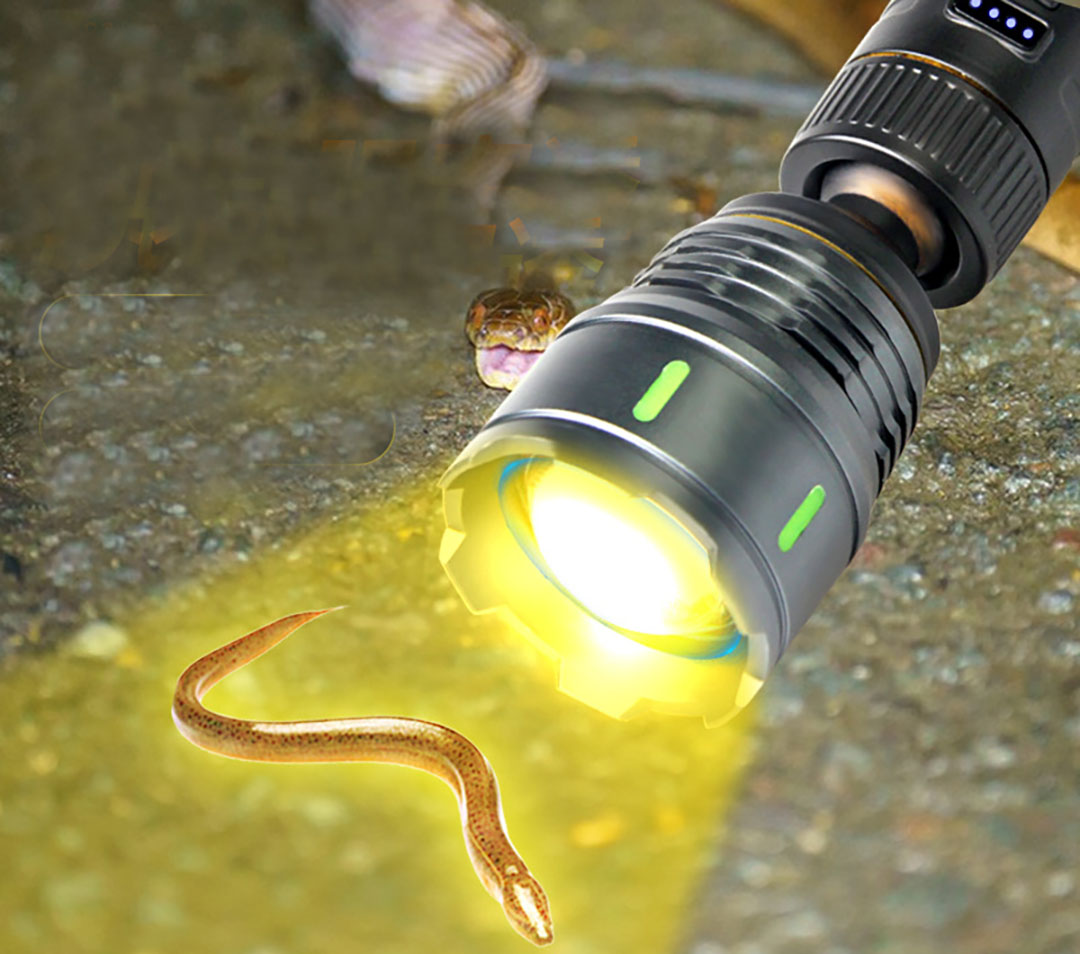 Dimmable White Yellow, Red, Bl - Outdoor Lighting Event 评论和价格