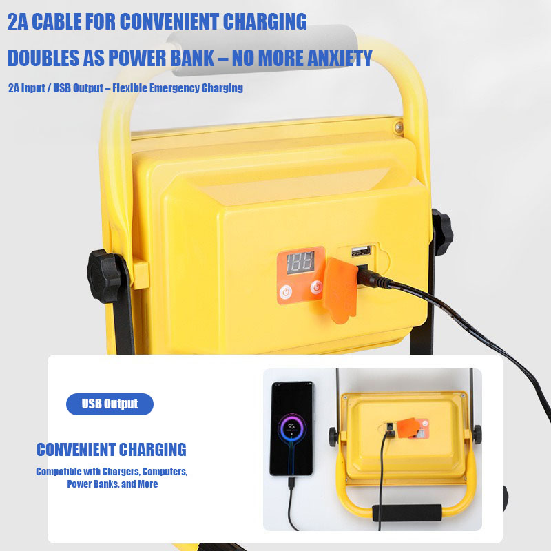 VOLODYMYR LED Rechargeable Por - Led Flood Light 评论和价格