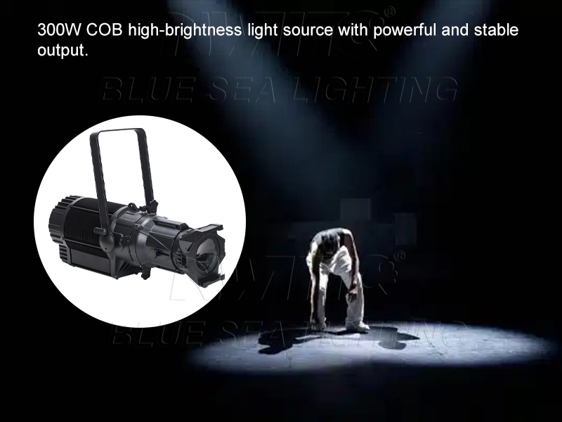 IP65 Waterproof Outdoor 300W W - Outdoor Lighting Event 评论和价格