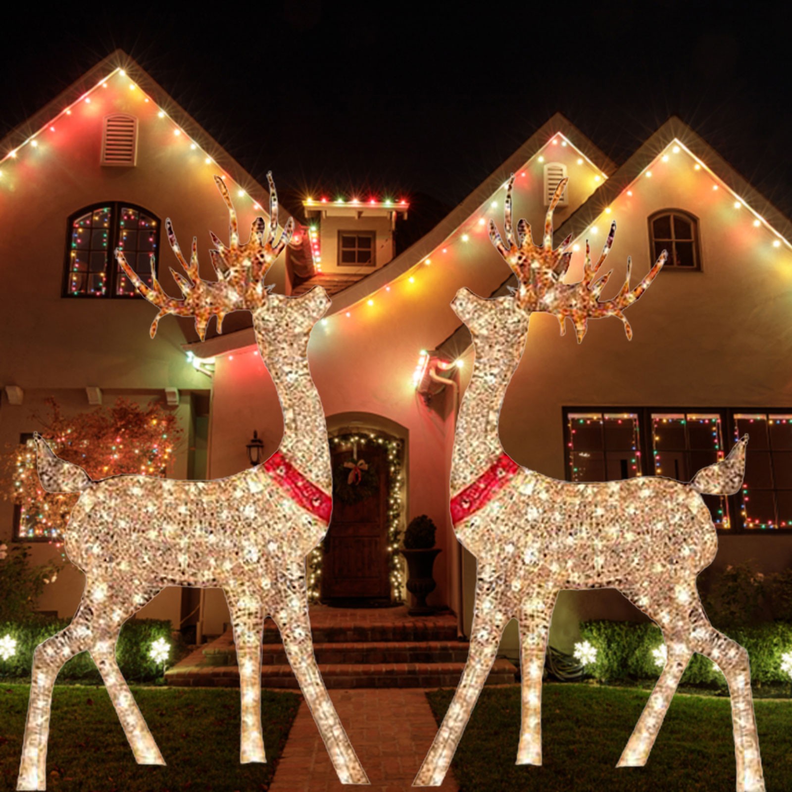 Lighted Christmas Decoration D - Outdoor Lighting Event 评论和价格