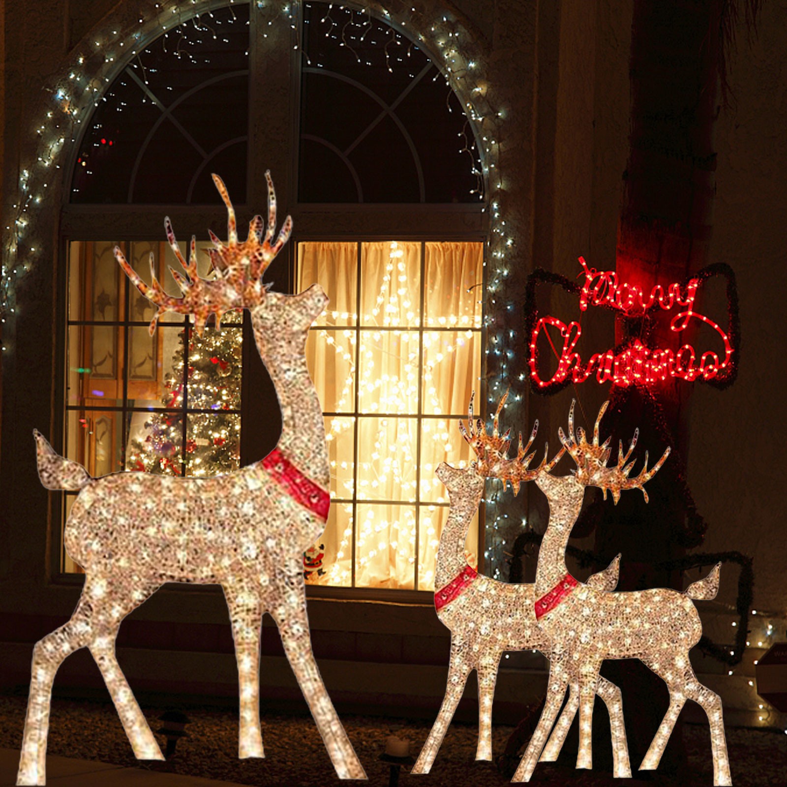 Lighted Christmas Decoration D - Outdoor Lighting Event 评论和价格
