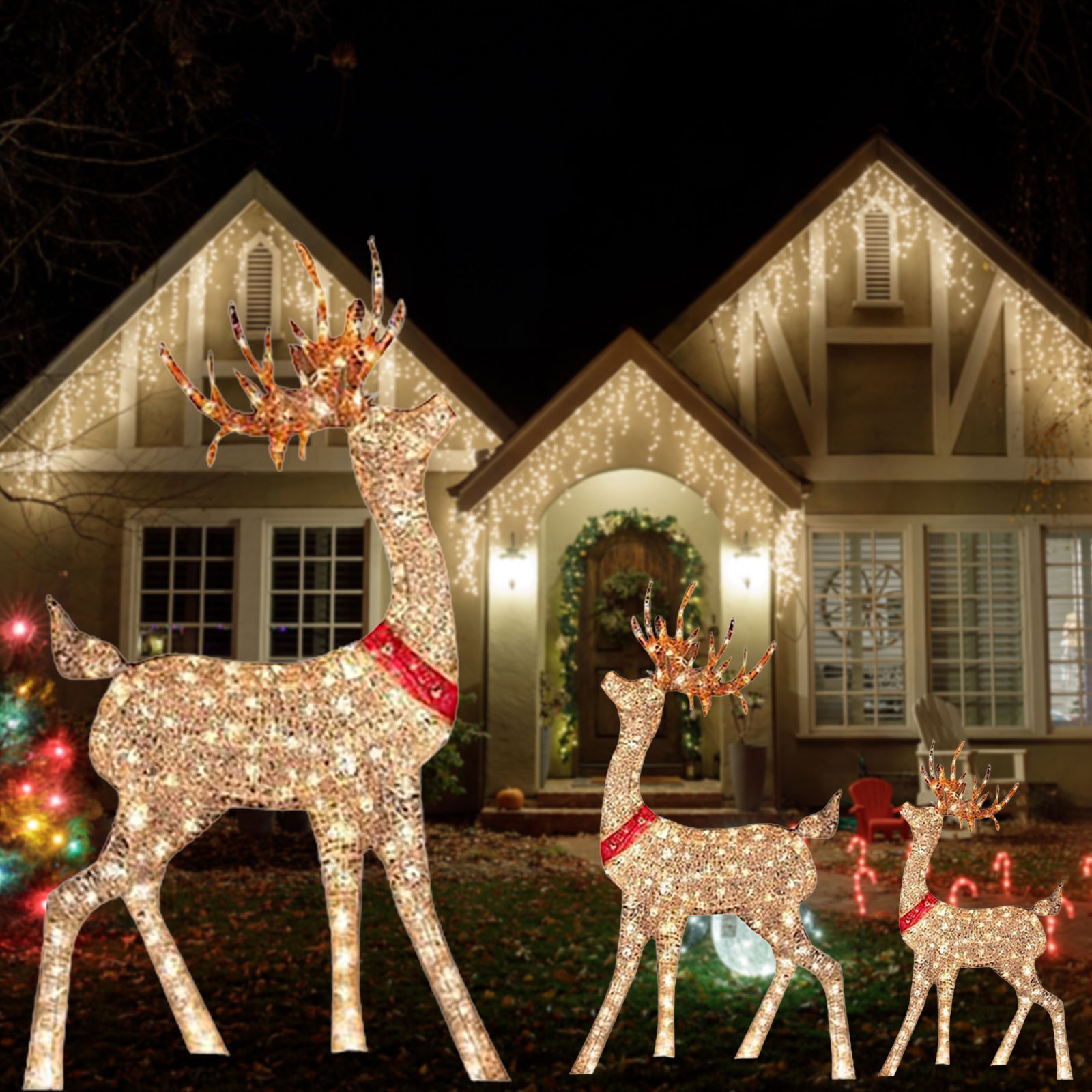 Lighted Christmas Decoration D - Outdoor Lighting Event 评论和价格
