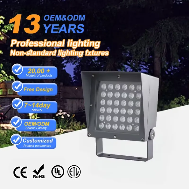 36W Smart Stadium LED Floodlig - Led Flood Light 评论和价格