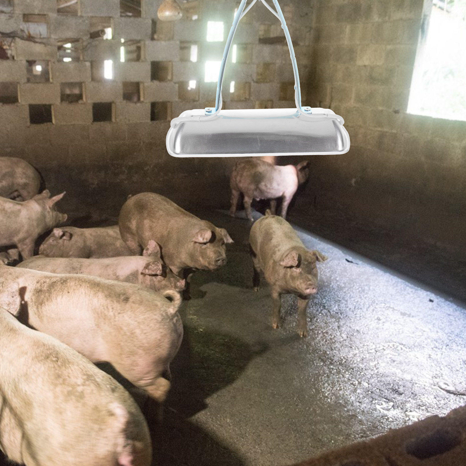 Pig Farm Heat Lamp Bulb E27 25 - Outdoor Lighting Battery 评论和价格